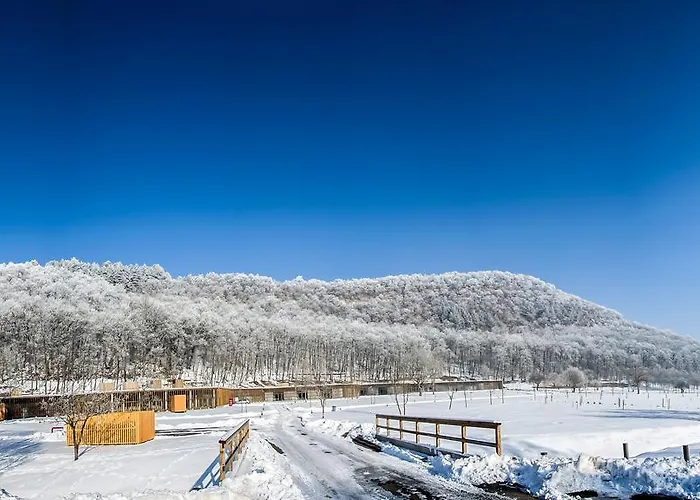 호텔 Szentkut Pilgrim Center 3*